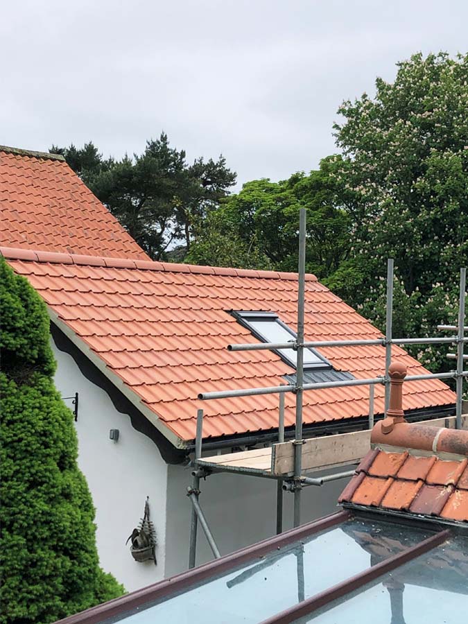 Velux Windows